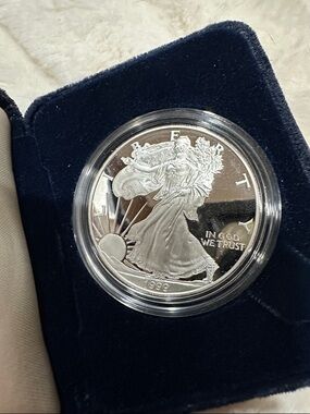1999 American Silver Eagle Proof Coin - Silver Tone
